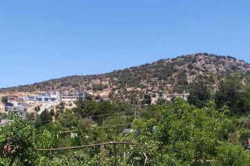 tourism-holiday-homes-38147_4.jpg